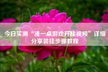 今日实测“凑一桌游戏开挂视频	”详细分享装挂步骤教程