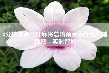 3分钟学会“打麻将总输预示着什么”辅助器 - 实时智能