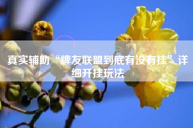真实辅助“牌友联盟到底有没有挂”详细开挂玩法