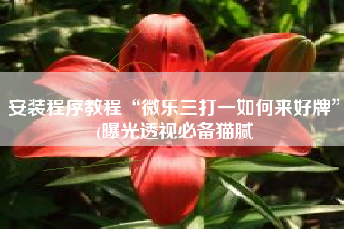 安装程序教程“微乐三打一如何来好牌”(曝光透视必备猫腻