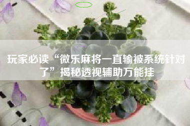 玩家必读“微乐麻将一直输被系统针对了”揭秘透视辅助万能挂