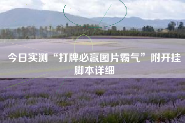 今日实测“打牌必赢图片霸气”附开挂脚本详细