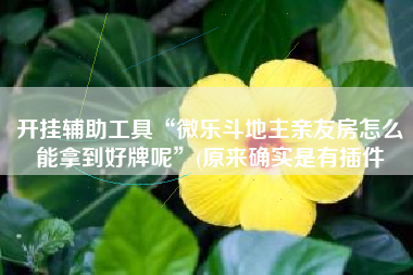 开挂辅助工具“微乐斗地主亲友房怎么能拿到好牌呢”(原来确实是有插件