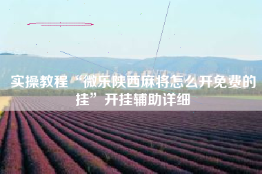 实操教程“微乐陕西麻将怎么开免费的挂”开挂辅助详细