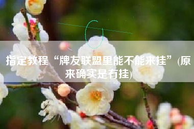 指定教程“牌友联盟里能不能来挂”(原来确实是有挂)