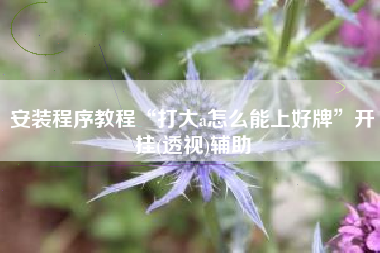 安装程序教程“打大a怎么能上好牌”开挂(透视)辅助
