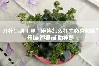 开挂辅助工具“麻将怎么打才必赢图解	”开挂(透视)辅助神器