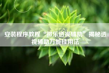 安装程序教程“微乐透视辅助”揭秘透视辅助万能挂用法
