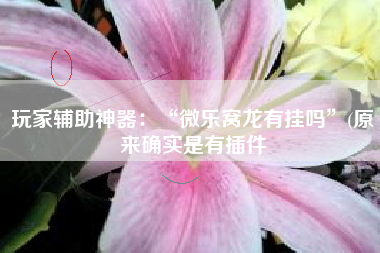 玩家辅助神器：“微乐窝龙有挂吗”(原来确实是有插件