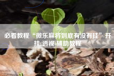 必看教程“微乐麻将到底有没有挂”开挂(透视)辅助教程