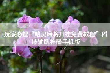 玩家必搜“哈灵麻将开挂免费教程”科技辅助神器手机版