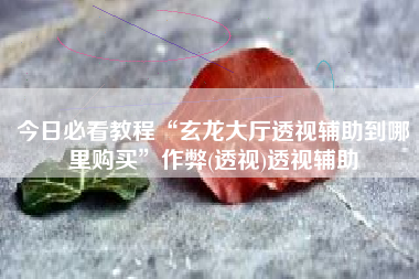 今日必看教程“玄龙大厅透视辅助到哪里购买”作弊(透视)透视辅助