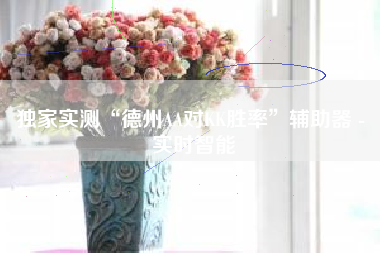 独家实测“德州AA对KK胜率”辅助器 - 实时智能