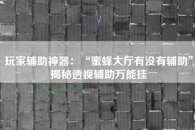 玩家辅助神器：“蜜蜂大厅有没有辅助”揭秘透视辅助万能挂