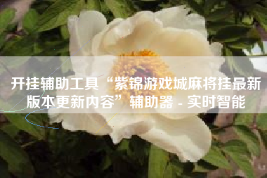 开挂辅助工具“紫锦游戏城麻将挂最新版本更新内容”辅助器 - 实时智能