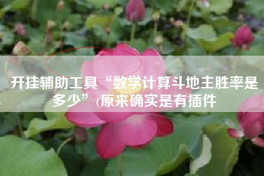 开挂辅助工具“数学计算斗地主胜率是多少	”(原来确实是有插件