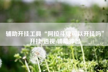 辅助开挂工具“阿拉斗牌可以开挂吗”开挂(透视)辅助神器