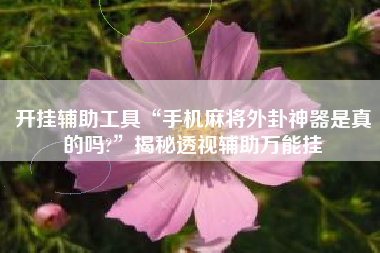 开挂辅助工具“手机麻将外卦神器是真的吗?”揭秘透视辅助万能挂