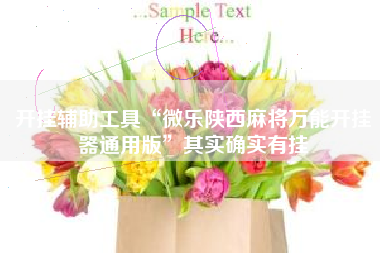 开挂辅助工具“微乐陕西麻将万能开挂器通用版	”其实确实有挂