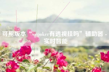 可用版本“wepoker有透视挂吗	”辅助器 - 实时智能