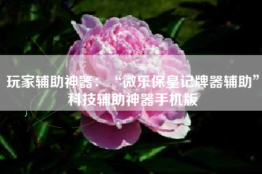 玩家辅助神器：“微乐保皇记牌器辅助”科技辅助神器手机版