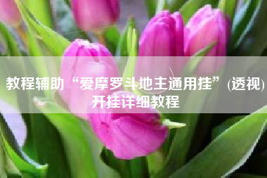 教程辅助“爱摩罗斗地主通用挂”(透视)开挂详细教程