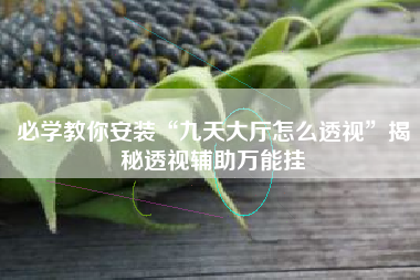 必学教你安装“九天大厅怎么透视”揭秘透视辅助万能挂