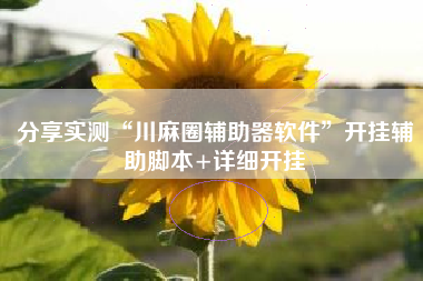 分享实测“川麻圈辅助器软件”开挂辅助脚本+详细开挂