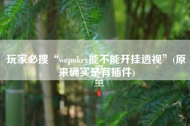 玩家必搜“wepoker能不能开挂透视”(原来确实是有插件)