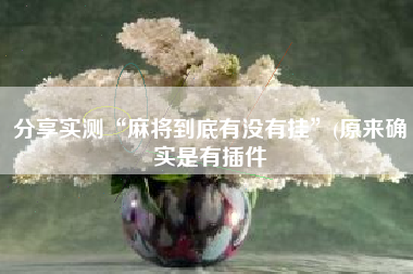 分享实测“麻将到底有没有挂”(原来确实是有插件