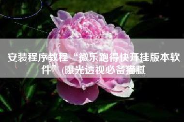 安装程序教程“微乐跑得快开挂版本软件”(曝光透视必备猫腻