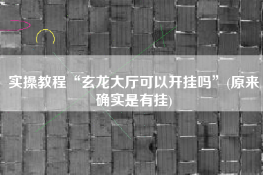 实操教程“玄龙大厅可以开挂吗”(原来确实是有挂)