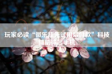 玩家必读“微乐挂先试用后付款”科技辅助神器手机