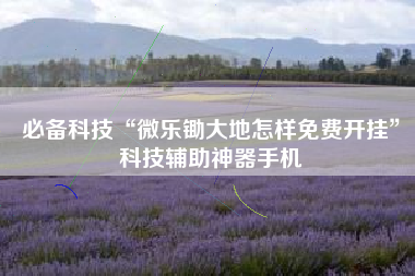 必备科技“微乐锄大地怎样免费开挂”科技辅助神器手机