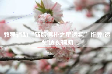 教程辅助“新版德扑之星透视”作弊(透视)透视辅助