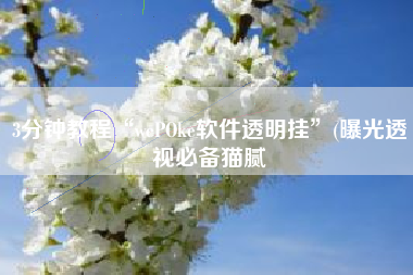 3分钟教程“wePOke软件透明挂”(曝光透视必备猫腻
