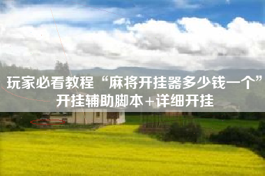 玩家必看教程“麻将开挂器多少钱一个	”开挂辅助脚本+详细开挂