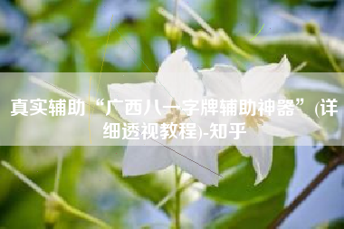 真实辅助“广西八一字牌辅助神器”(详细透视教程)-知乎