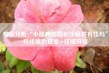 专家分析“小程序哈哈长沙麻将有挂吗	”开挂辅助脚本+详细开挂