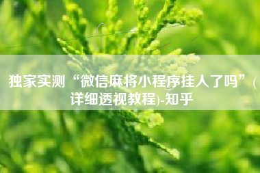 独家实测“微信麻将小程序挂人了吗”(详细透视教程)-知乎