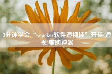 3分钟学会“wepoker软件透视挂	”开挂(透视)辅助神器