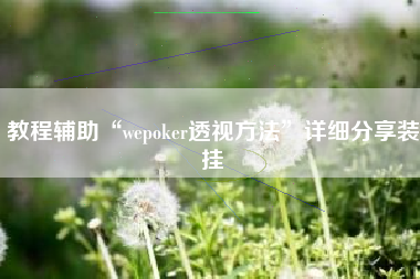 教程辅助“wepoker透视方法”详细分享装挂