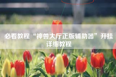 必看教程“神兽大厅正版辅助器”开挂详细教程