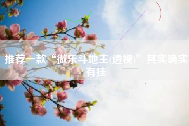 推荐一款“微乐斗地主(透视)”其实确实有挂