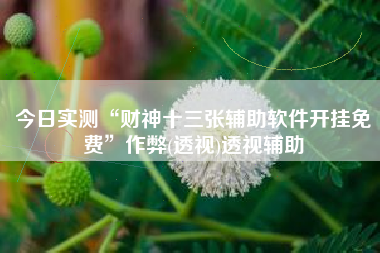 今日实测“财神十三张辅助软件开挂免费	”作弊(透视)透视辅助