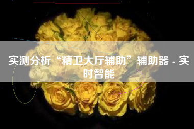 实测分析“精卫大厅辅助	”辅助器 - 实时智能