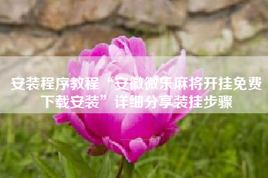 安装程序教程“安徽微乐麻将开挂免费下载安装	”详细分享装挂步骤