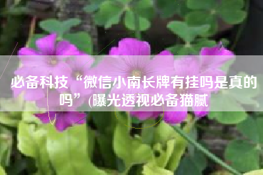 必备科技“微信小南长牌有挂吗是真的吗”(曝光透视必备猫腻