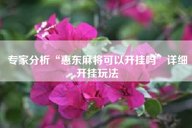 专家分析“惠东麻将可以开挂吗”详细开挂玩法