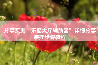 分享实测“乐酷大厅辅助器”详细分享装挂步骤教程